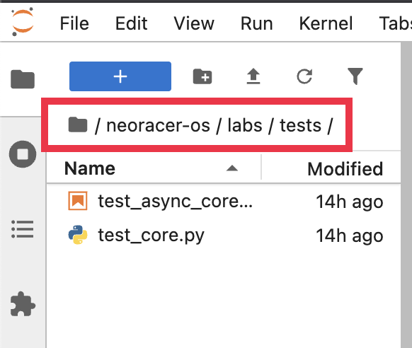 Click to enlarge The file browser path neoracer-os/labs/tests with the test files listed