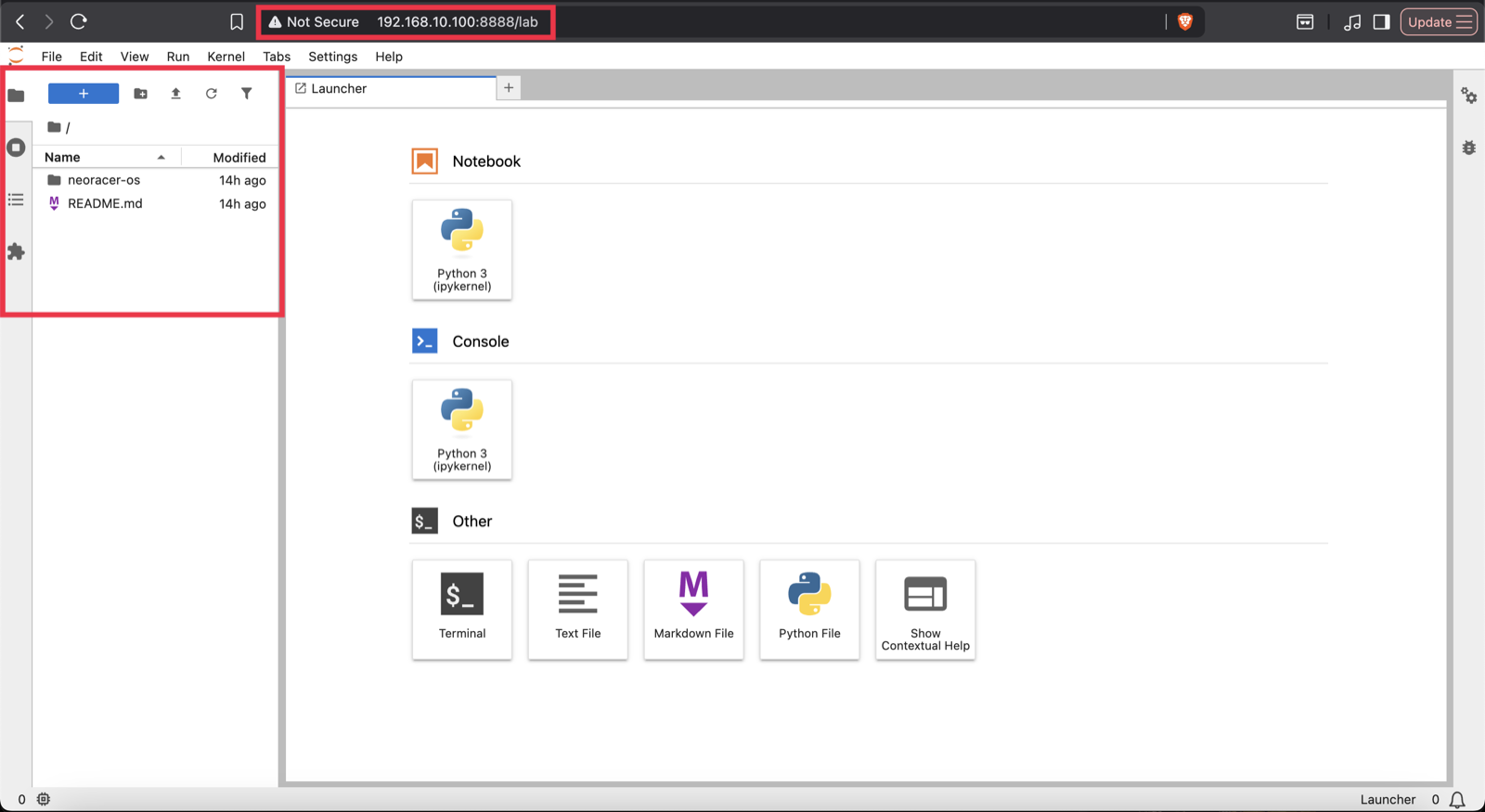 Click to enlarge JupyterLab open in a browser at 192.168.10.100:8888, with the file browser highlighted on the left